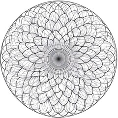 Intricate circular design with detailed floral patterns.