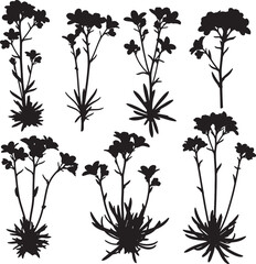 Black silhouettes of various small wild plants and wildflowers, perfect for botanical illustrations, natural background textures, or delicate floral designs. ideal for subtle organic elements