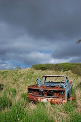 Abandoned rusty car in overgrown grass under cloudy sky