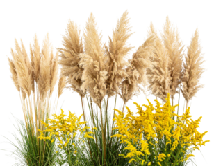 Pink Heart Balloon Floating on a Soft Background 
