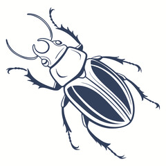 stag beetle vector illustration