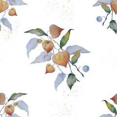 Seamless pattern with watercolor physalis 