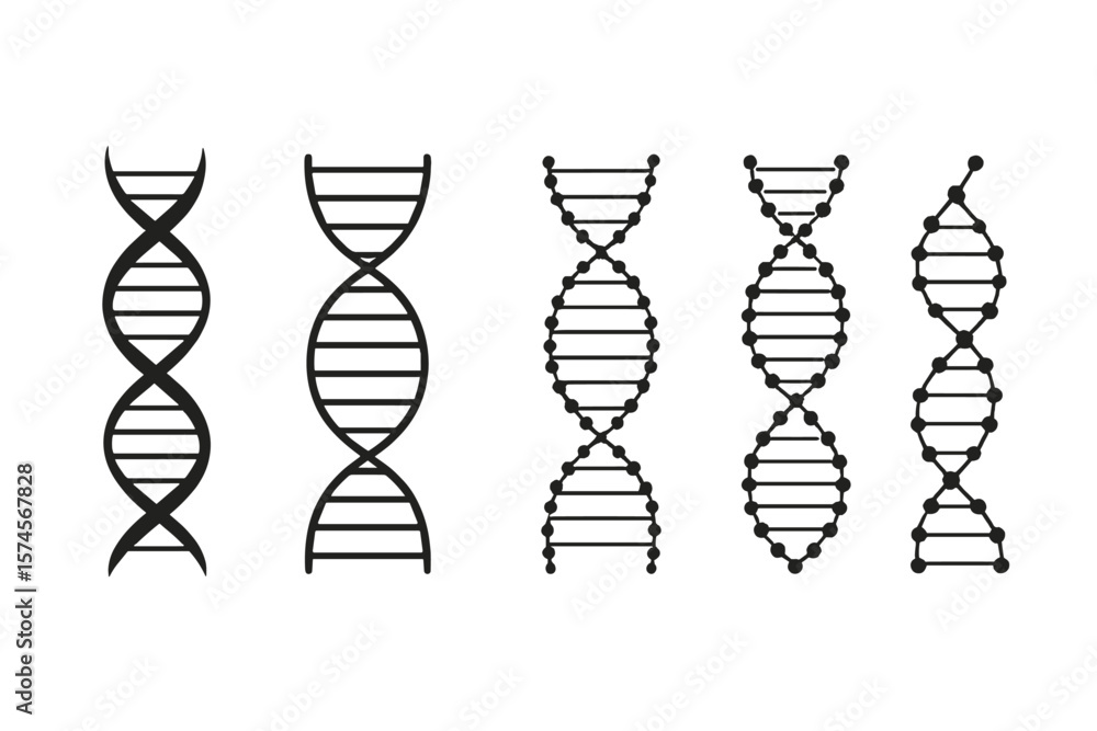 Poster different styles of dna structures displayed in a simple and clear manner for educational purposes