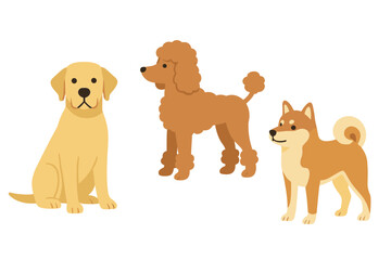 Three cartoon dogs sitting together, showcasing different breeds against a plain backdrop