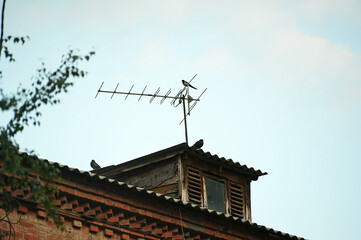 Attic of an old brick house with an antenna and pigeons against the sky