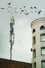 Cellular antenna on the roof of a house next to a white tower