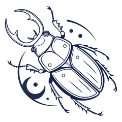 black and white beetle