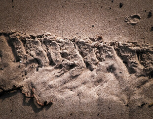 Tire track on sand of desert or beach.