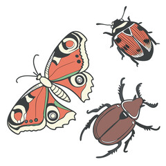 vector illustration of a bug