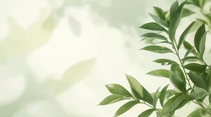 Closeup of green nature leaf on blurred greenery background in garden with bokeh and copy space using as background cover page concept 