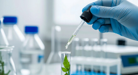 Scientific Research On Plant Extract Using Dropper