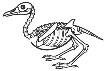 Educational line art vector illustration of a black duck skeleton