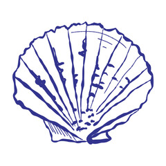 Marine-themed graphic design showing starfish on beach sand. Background features oceanic elements with handcrafted, vintage-inspired texture.