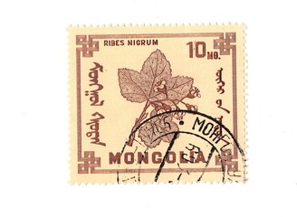 A vintage postage stamp from Mongolia isolated on a white background.