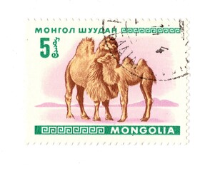 A vintage postage stamp from Mongolia isolated on a white background.