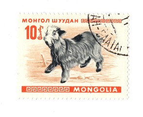A vintage postage stamp from Mongolia isolated on a white background.