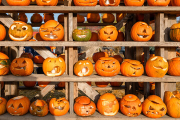 Funny carved Halloween pumpkins on wooden shelf at autumn festival