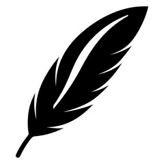 vector illustration of feather