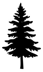 Wilderness pine tree silhouettes PNG pack with detailed forest shapes on transparent background