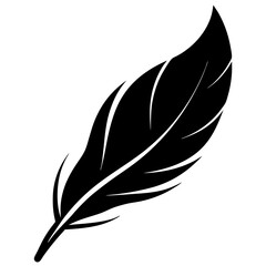 vector illustration of feather