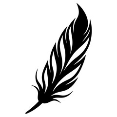 feather vector illustration