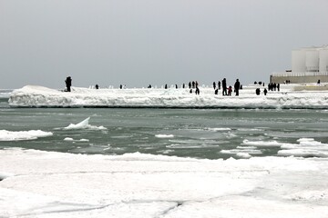 silhouettes of people on an ice floe. black silhouettes of people on a white ice floe near the shore