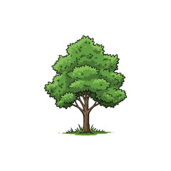 Colorful Icon of Silver Maple Tree with No White