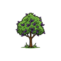 Colorful Icon of Syzygium Tree with No White