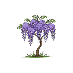 Colorful Icon of Wisteria Tree with Cascading Blooms and No White Background