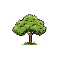 Colorful Icon of Yellow Sandalwood Tree with Golden Bark and No White Color