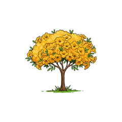 Colorful Icon of Yellow Trumpet Tree with Bloom Clusters and No White Fill