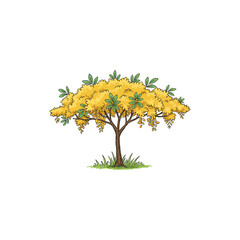 Colorful Icon of Yellow Poui Tree with Trumpet Blooms and No White Elements
