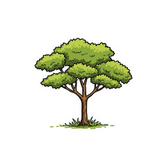Colorful Icon of Yellowwood Tree with Pinnate Leaves and No White Background