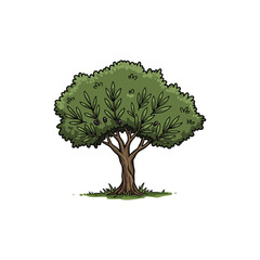 Colorful Icon of Wild Olive Tree with Slender Leaves and No White Elements