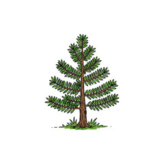Colorful Icon of Yew Tree with Dense Needles and No White Elements