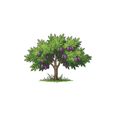 Colorful Icon of Ziziphus Tree with Glossy Leaves and No White Fill