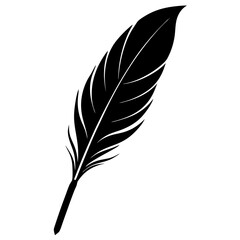 feather 