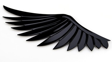 Black wing isolated on white background, design element