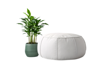 White circular pouf placed beside large green potted plant in modern ceramic planter for living, isolated on a transparent background