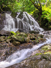 waterfall in the forest, A small waterfall flowing over large rocks and tree roots, surrounded by dense, green tropical forest. A refreshing natural landscape full of tranquility and wild beauty