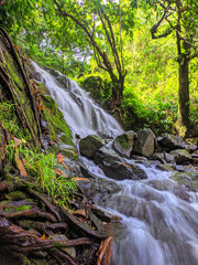 stream in the forest, A small waterfall flowing over large rocks and tree roots, surrounded by dense, green tropical forest. A refreshing natural landscape full of tranquility and wild beauty