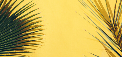 Two green palm leaves are arranged on opposite corners against a bright yellow background, creating a vibrant and tropical aesthetic. Flat lay, top view, panoramic banner design.