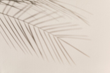 A soft shadow of a palm leaf cast on a beige wall, creating an abstract and serene pattern. The...