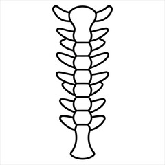 Simple Black Outline Illustration of a Vertebral Column Structure