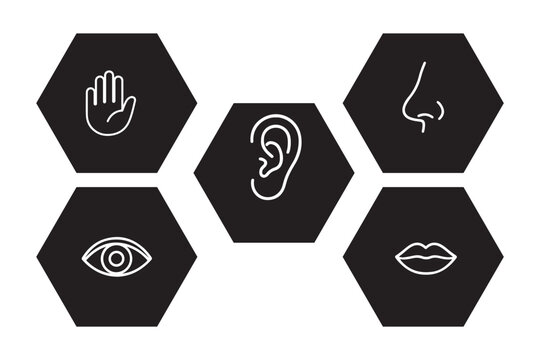 Human senses icon set. Vision eye, smell nose, hearing ear, touch hand, taste mouth with tongue. set of human five senses icon.