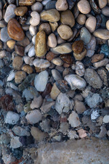 Wet beach pebbles visible through clear rippling water, showing natural textures and underwater refraction in soft daylight.