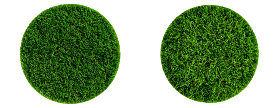 Top View of Circular Green Grass Lawn Cutout, isolated on transparent background PNG