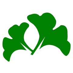 Simple Flat Green Ginkgo Biloba Leaves Isolated Graphic Illustration