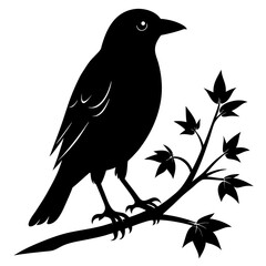 Elegant black silhouette of a bird resting peacefully on a tree branch