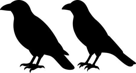 Obraz premium Crow vectors, Vector of Crow, A set of Crow animal art designs, Crow icon isolated